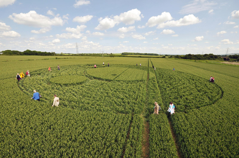Berkley Lane, Somerset crop circle, aerial photo 39