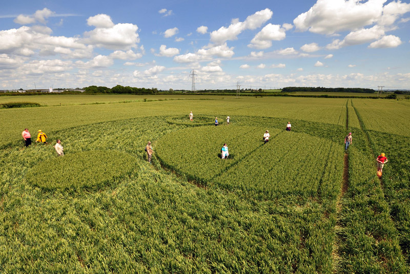 Berkley Lane, Somerset crop circle, aerial photo 38