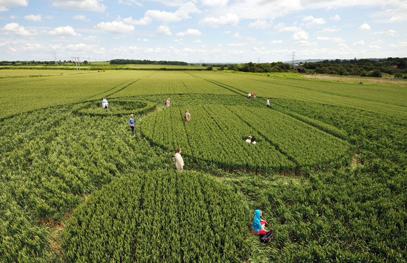 Berkley Lane, Somerset crop circle, aerial photo 37