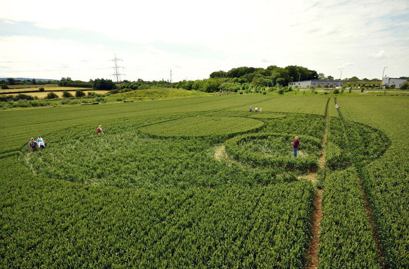 Berkley Lane, Somerset crop circle, aerial photo 36