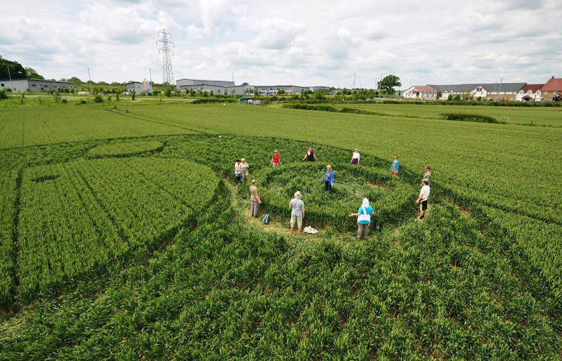 Berkley Lane, Somerset crop circle, aerial photo 40
