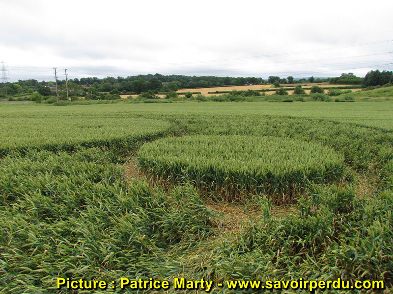 Berkley Lane, Somerset crop circle, aerial photo 48