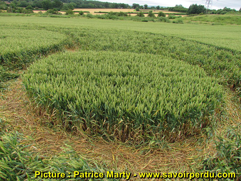 Berkley Lane, Somerset crop circle, aerial photo 47