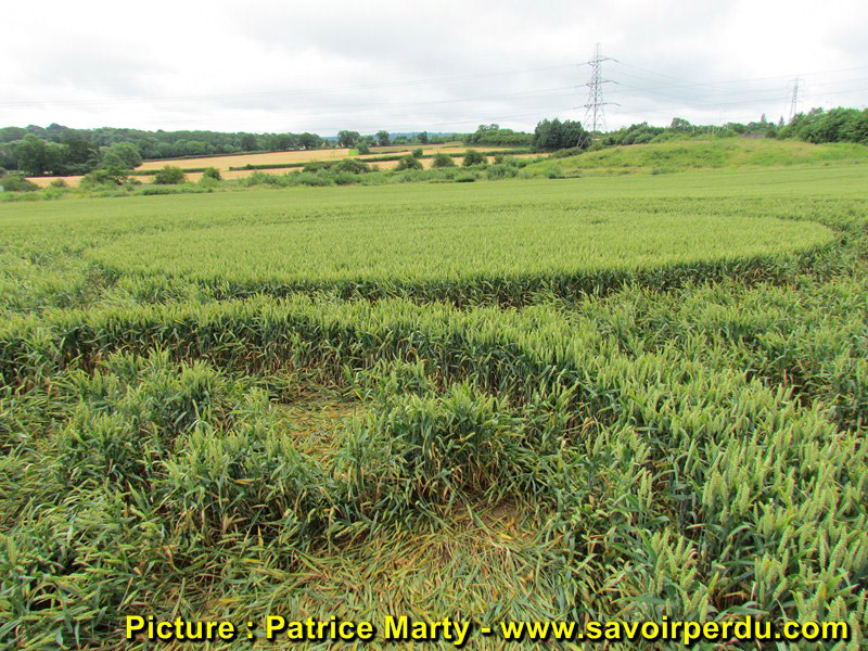 Berkley Lane, Somerset crop circle, aerial photo 44