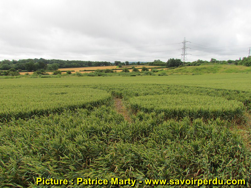 Berkley Lane, Somerset crop circle, aerial photo 49