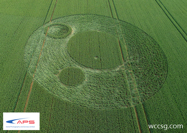 Berkley Lane, Somerset crop circle, aerial photo 4