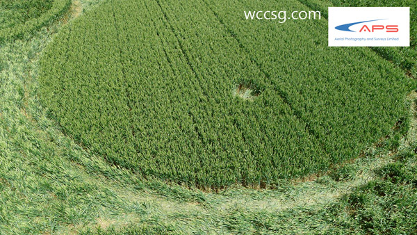 Berkley Lane, Somerset crop circle, aerial photo 5