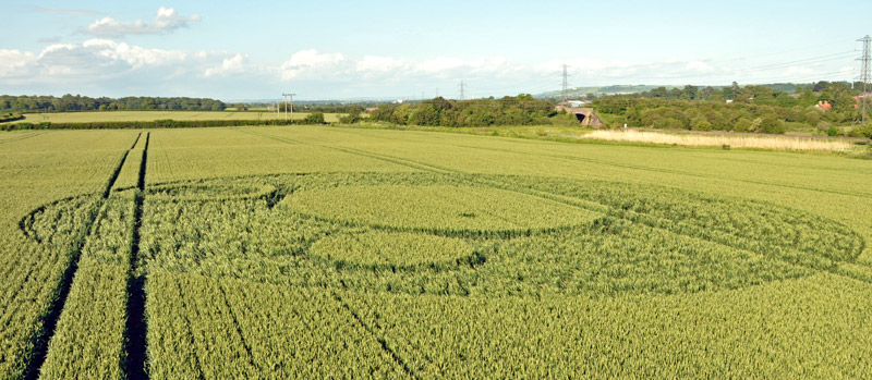 Berkley Lane, Somerset crop circle, aerial photo 31