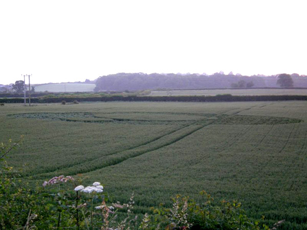 Berkley Lane, Somerset crop circle, aerial photo 43
