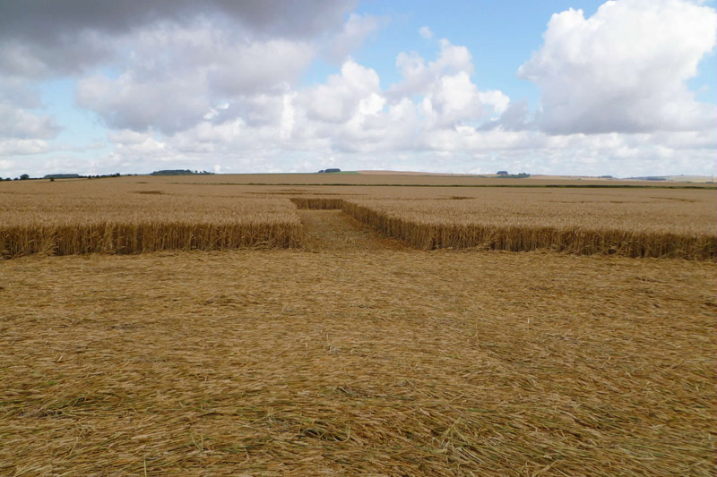 Etchilhampton (2), Wiltshire crop circle, aerial photo 92