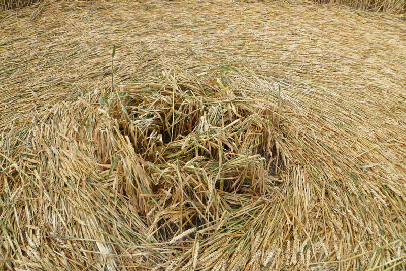 Etchilhampton (2), Wiltshire crop circle, aerial photo 91