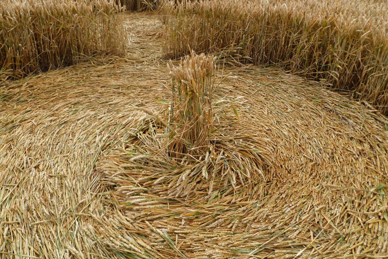 Etchilhampton (2), Wiltshire crop circle, aerial photo 94