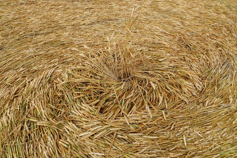 Etchilhampton (2), Wiltshire crop circle, aerial photo 97