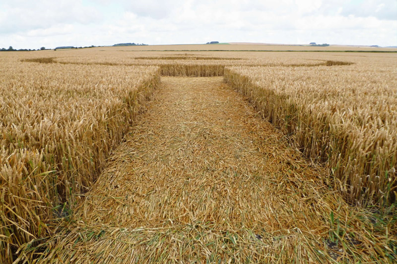 Etchilhampton (2), Wiltshire crop circle, aerial photo 96