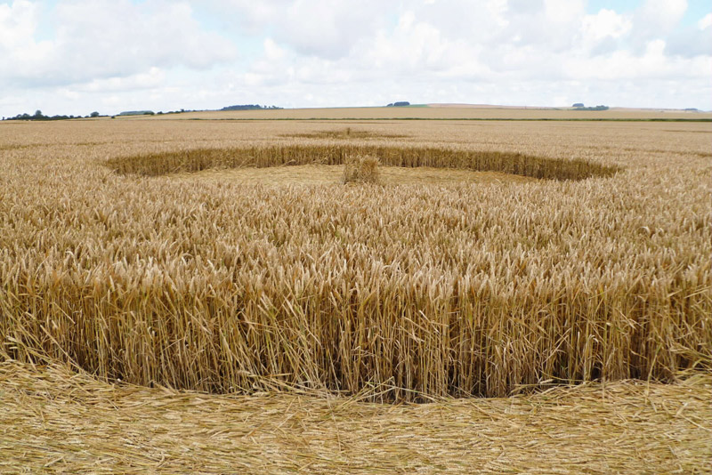 Etchilhampton (2), Wiltshire crop circle, aerial photo 95