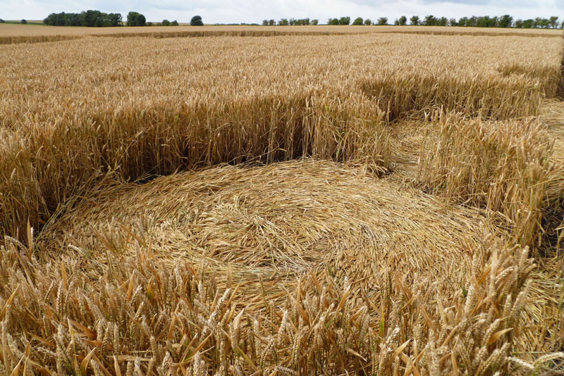 Etchilhampton (2), Wiltshire crop circle, aerial photo 98