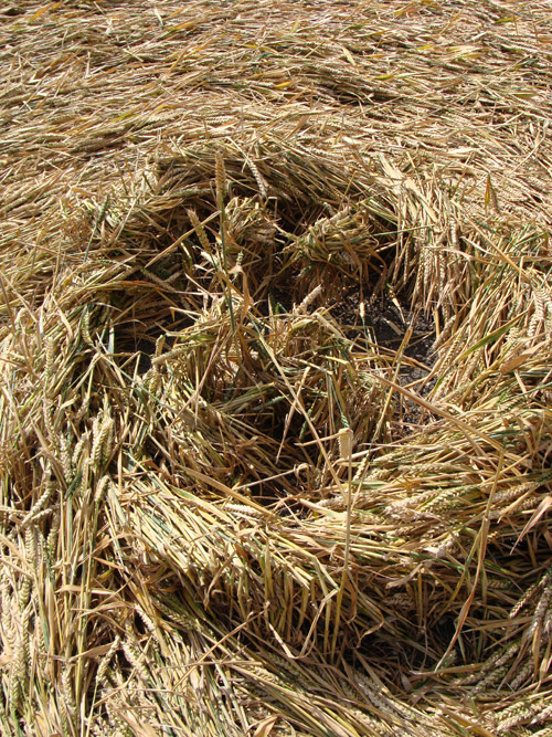 Etchilhampton (2), Wiltshire crop circle, aerial photo 83