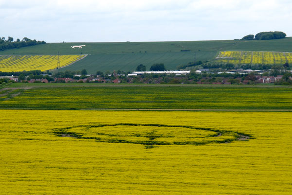 Etchilhampton (2), Wiltshire crop circle, aerial photo 19