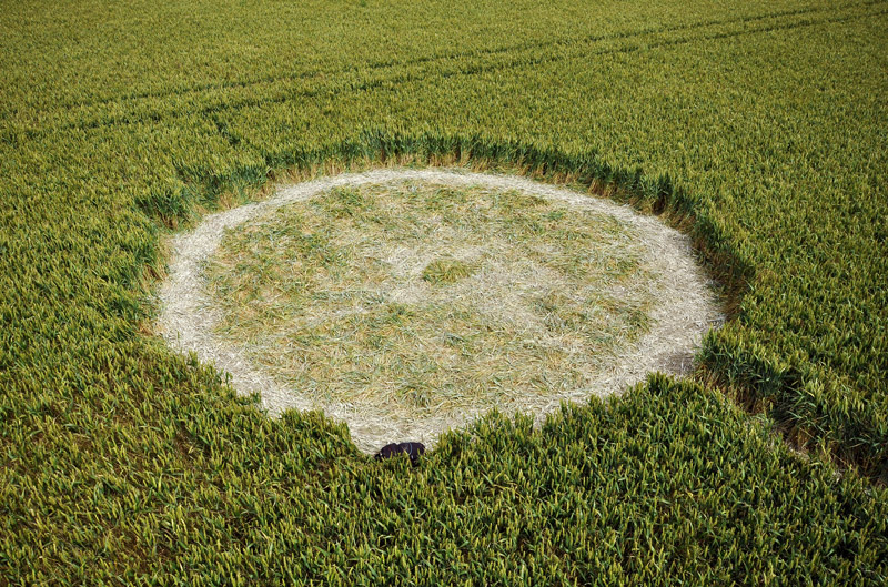 Etchilhampton Hill, Wiltshire crop circle, aerial photo 29