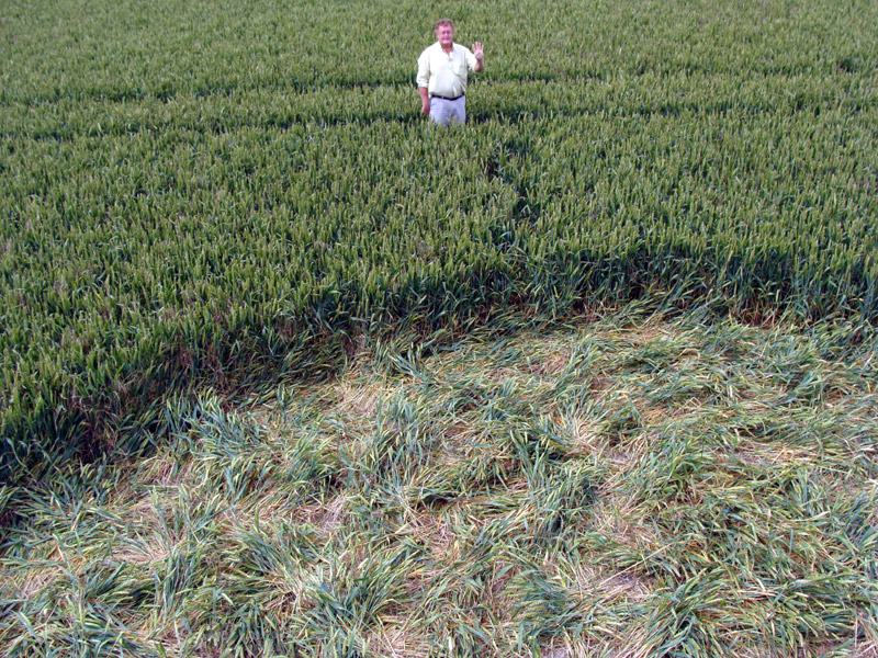 Etchilhampton Hill, Wiltshire crop circle, aerial photo 14