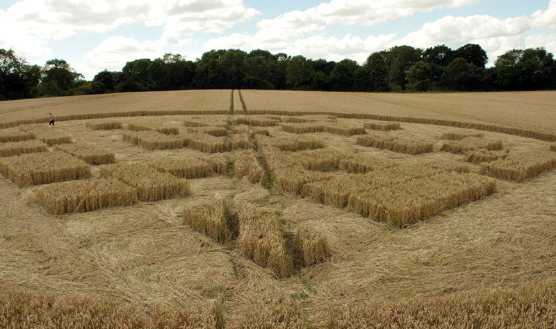 Jubilee Copse, Wiltshire crop circle, aerial photo 50