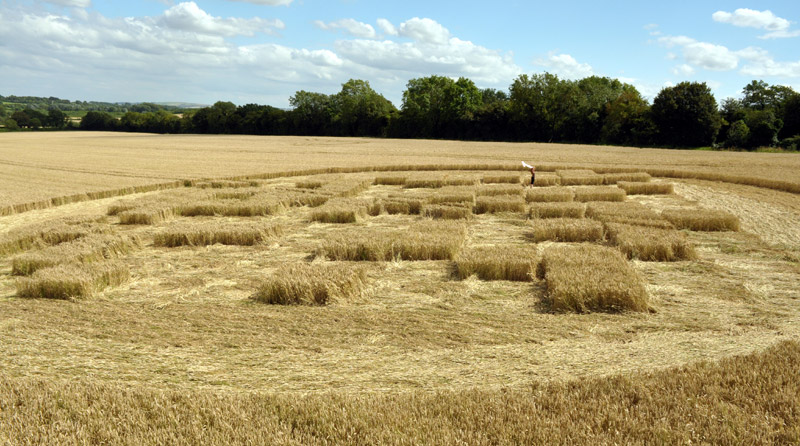 Jubilee Copse, Wiltshire crop circle, aerial photo 51