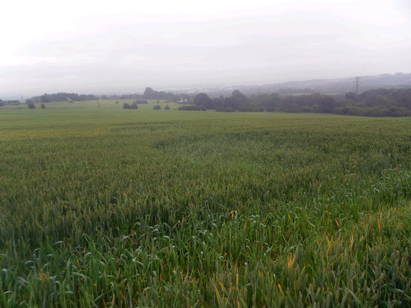 Saint Johns Church, Shropshire crop circle, aerial photo 8
