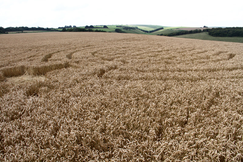 Lurkeley Hill, Wiltshire crop circle, aerial photo 25