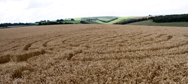 Lurkeley Hill, Wiltshire crop circle, aerial photo 21