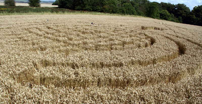 Lurkeley Hill, Wiltshire crop circle, aerial photo 20