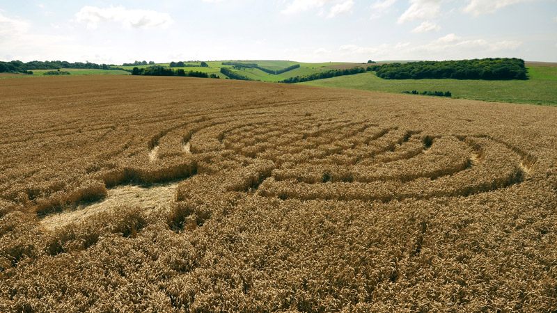 Lurkeley Hill, Wiltshire crop circle, aerial photo 17
