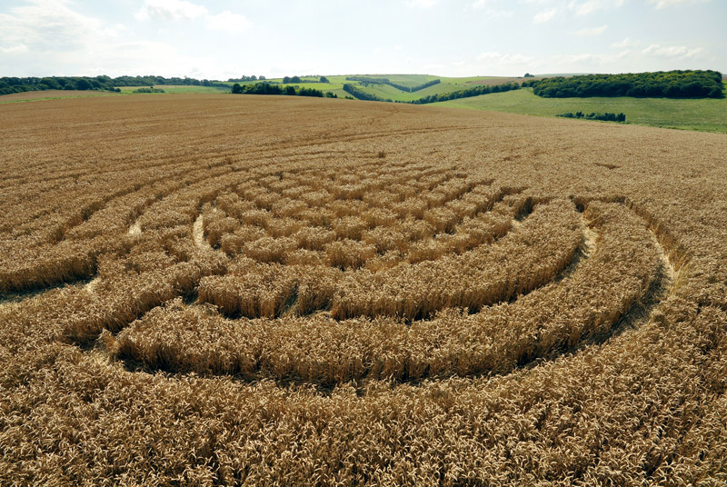 Lurkeley Hill, Wiltshire crop circle, aerial photo 16