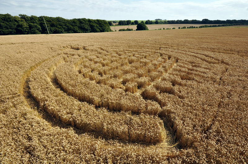 Lurkeley Hill, Wiltshire crop circle, aerial photo 15