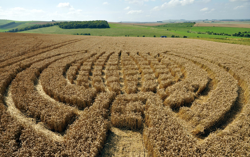 Lurkeley Hill, Wiltshire crop circle, aerial photo 19