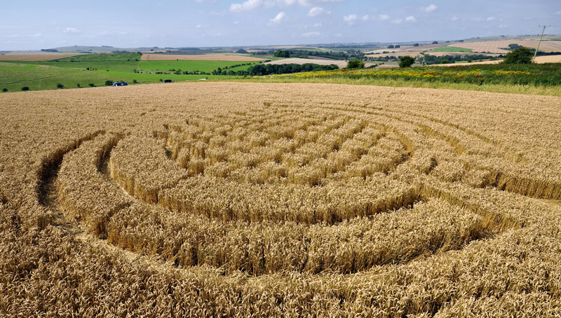 Lurkeley Hill, Wiltshire crop circle, aerial photo 18