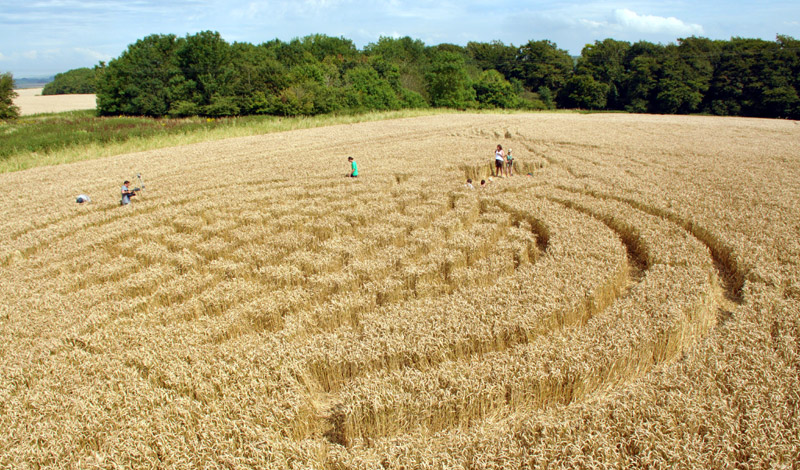 Lurkeley Hill, Wiltshire crop circle, aerial photo 13