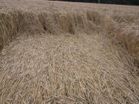 Lurkeley Hill, Wiltshire crop circle, aerial photo 59