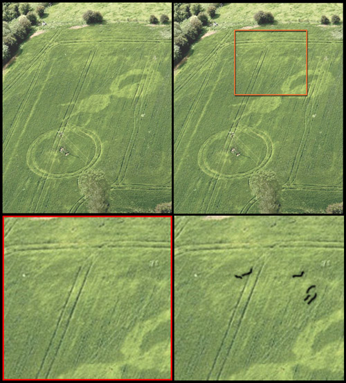 Malthous Bank, Shropshire crop circle, aerial photo 7