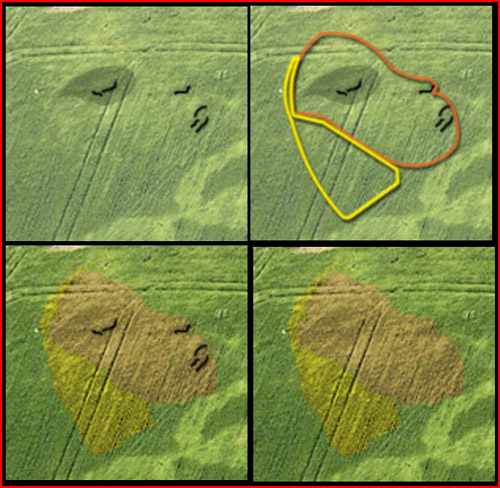 Malthous Bank, Shropshire crop circle, aerial photo 8