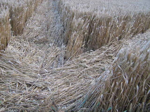 Owslebury, Hampshire crop circle, aerial photo 23