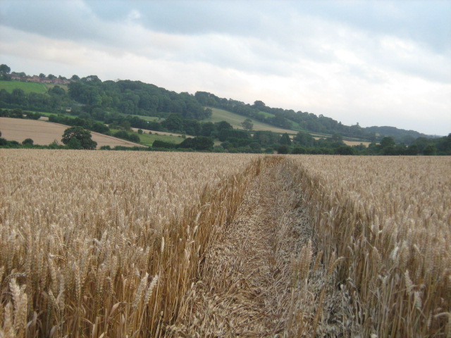 Owslebury, Hampshire crop circle, aerial photo 21