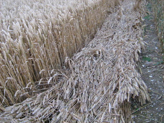 Owslebury, Hampshire crop circle, aerial photo 28