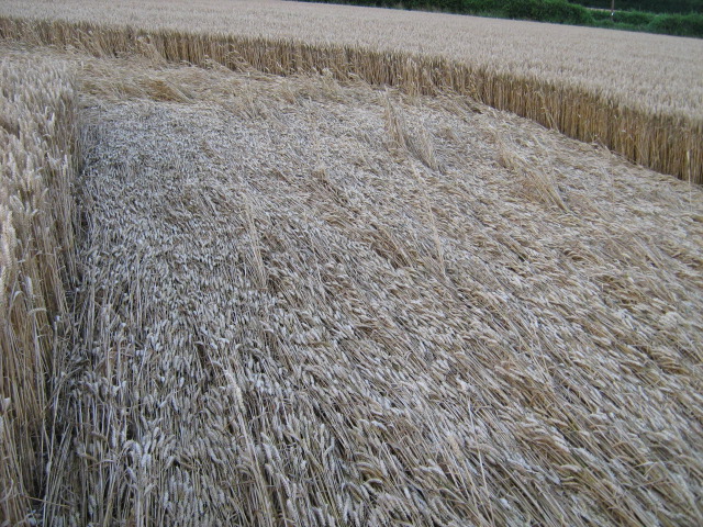Owslebury, Hampshire crop circle, aerial photo 25