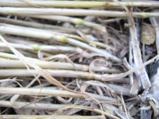 Owslebury, Hampshire crop circle, aerial photo 37