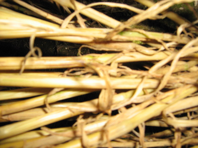 Owslebury, Hampshire crop circle, aerial photo 47