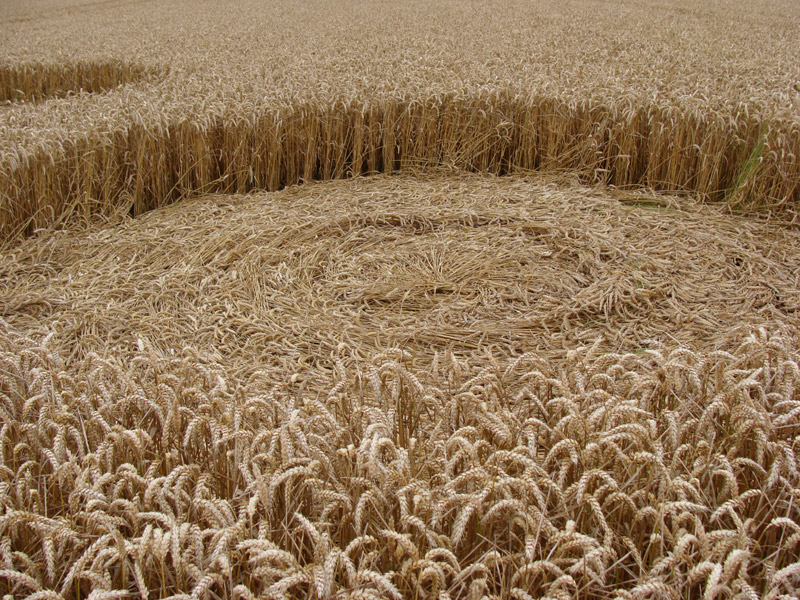 Oxleaze Copse, Wiltshire crop circle, aerial photo 45