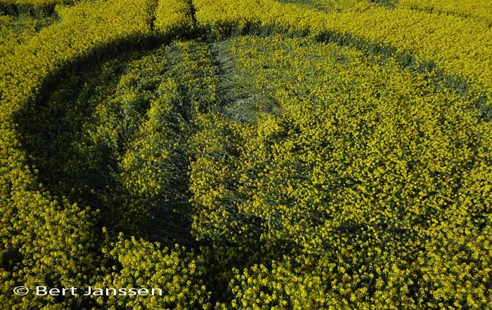 Water Eaton Copse, Wiltshire crop circle, aerial photo 37