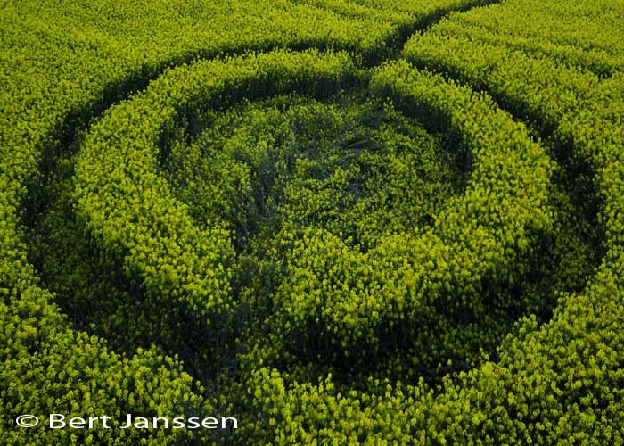 Water Eaton Copse, Wiltshire crop circle, aerial photo 36