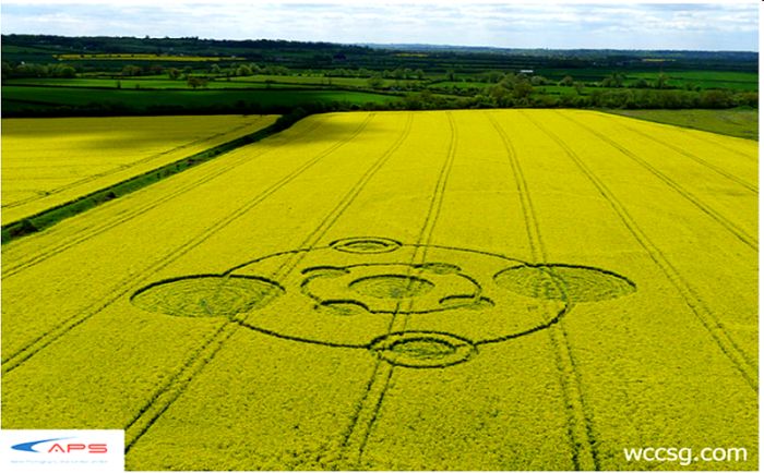 Water Eaton Copse, Wiltshire crop circle, aerial photo 9