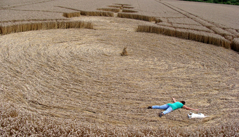 All Cannings Bridge, Wiltshire crop circle, aerial photo 13